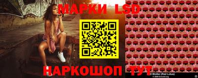 твердый Краснознаменск