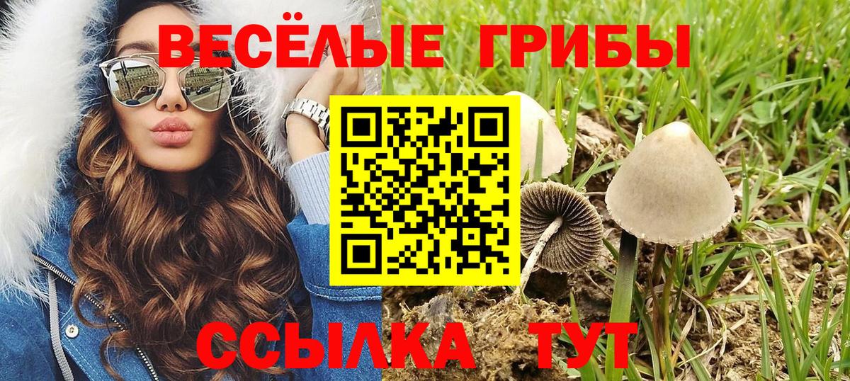 Галлюциногенные грибы ЛСД Избербаш